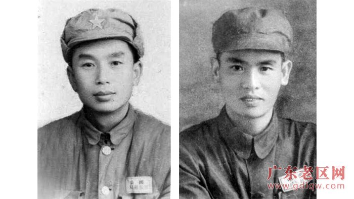 图片说明