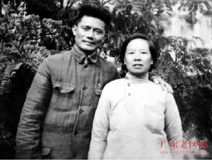 图片说明