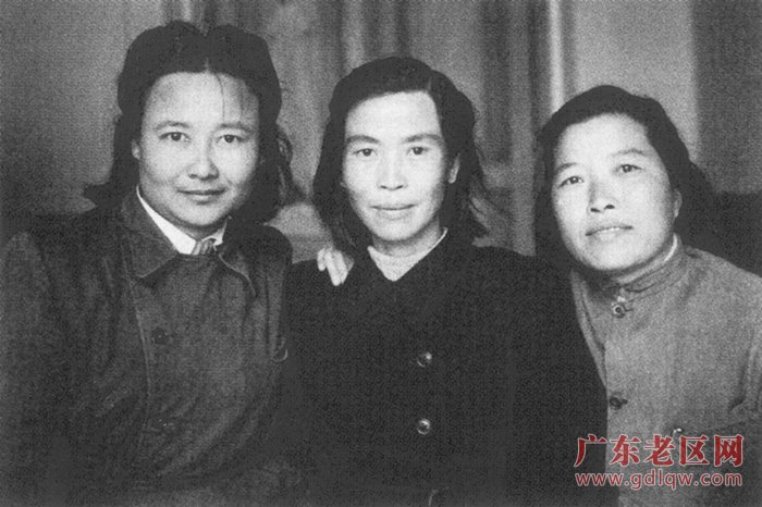 图片说明