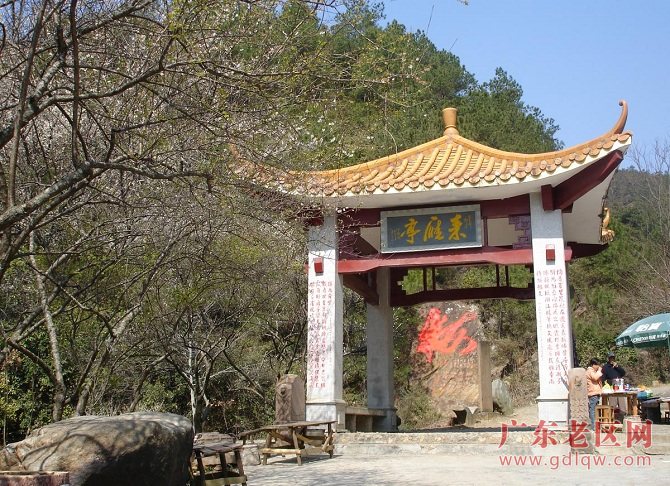 图片说明