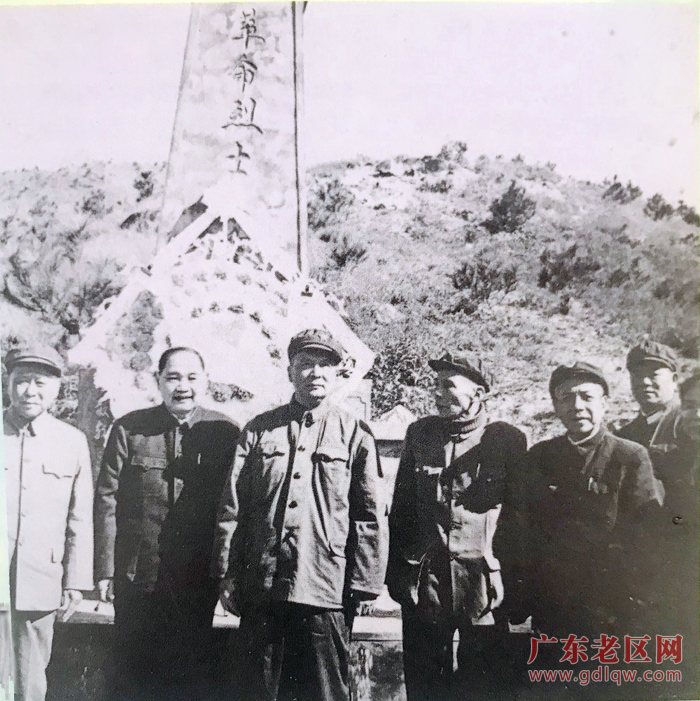 图片说明