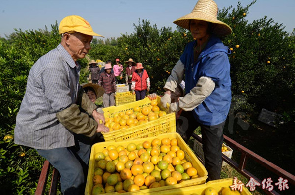 图片说明