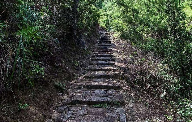 图片说明