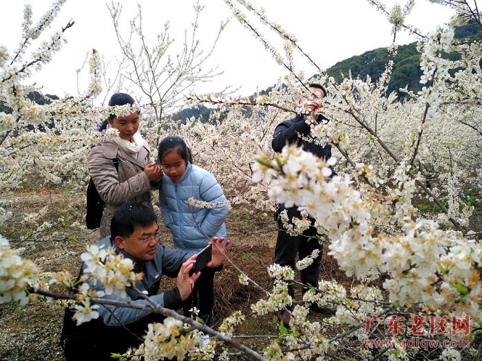 图片说明