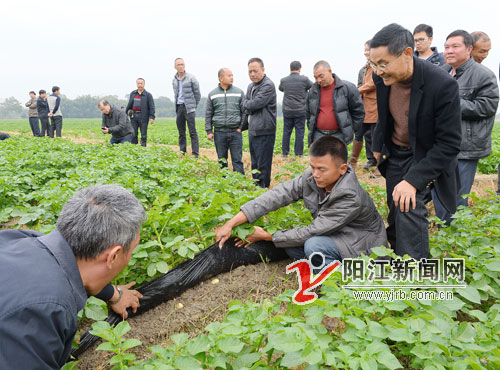 图片说明