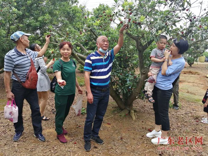 图片说明