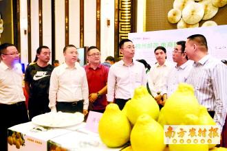 图片说明