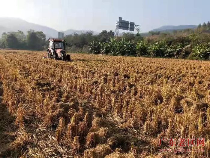 图片说明