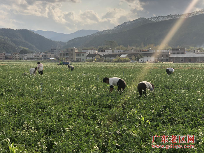 图片说明