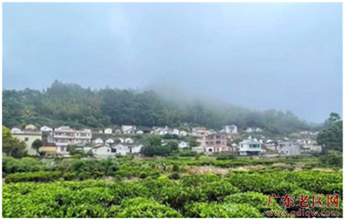 2、四望坪村新貌。.png
