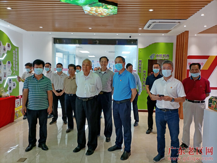 图为广东省老促会会长陈开枝率队深入茂名化州市老区调研乡村振兴发展工作 ，在察看中保斯通智运快线情况.jpg