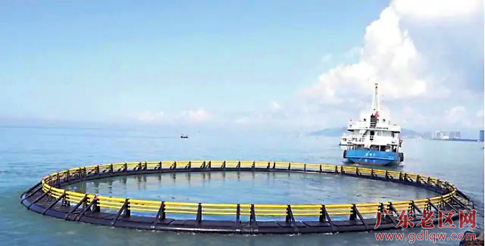 汕尾市围绕建设沿海经济带靓丽明珠，开展系列攻坚.其中聚焦产业发展，新引进超亿元项目172个。.webp.jpg