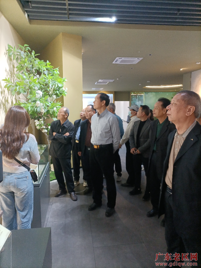 3图为参会人员参观中国化橘红博览馆，并在听讲解员讲述化橘红的发展情况和药用价值.jpg