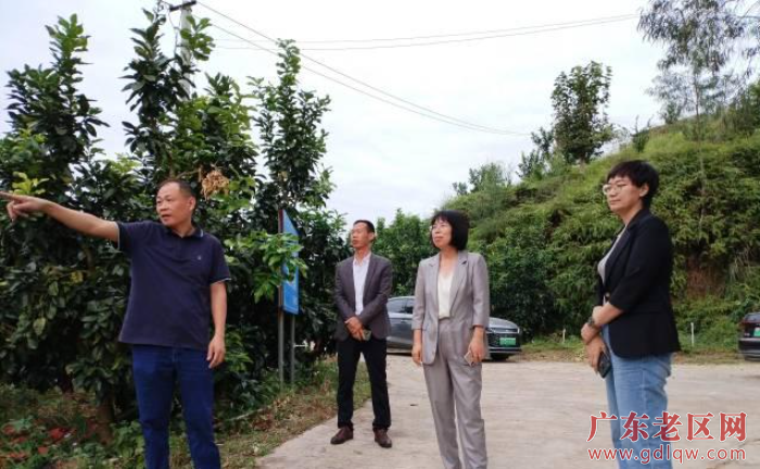 广东建院建筑设计艺术学院团队深入西河等镇开展实地踏勘.jpg