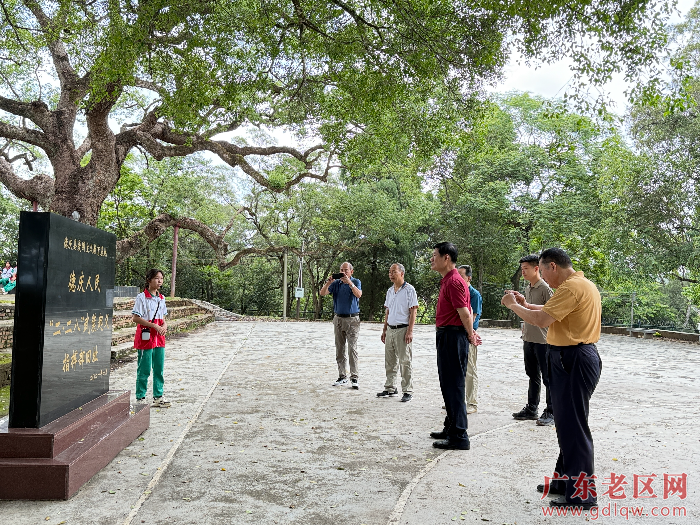 2025年0学月习调研 (26).jpg