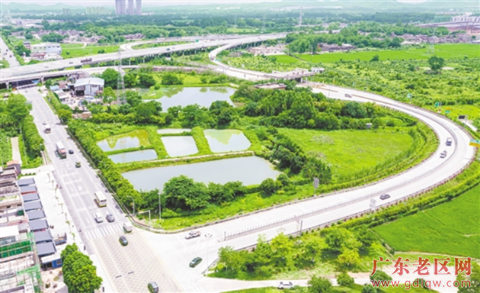 1近年来，水步镇先后投入约500万元用于周边廊道建设。.png