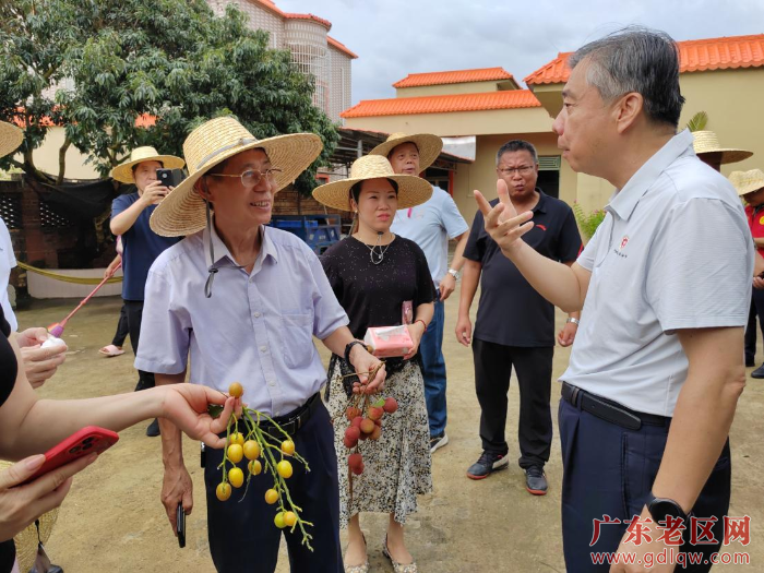 1 调研组到遂溪县杨柑镇乌塘新屋仔村考察.png